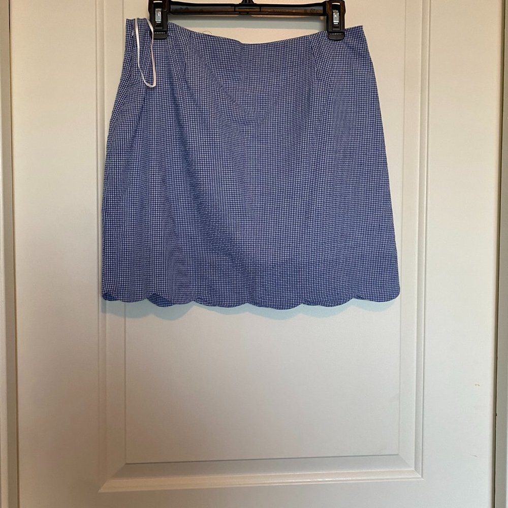 Blue and white gingham/plaid skirt